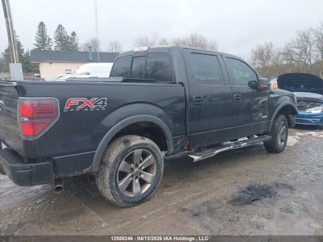 Aukcja sprzedaży 2014 Ford F-150 Fx4, vin: 1FTFW1ET8EKD87233, numer aukcji: 12588246