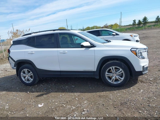 Auction sale of the 2024 Gmc Terrain Sle, vin: 3GKALTEG9RL328167, lot number: 12613908