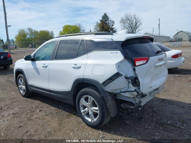 Auction sale of the 2024 Gmc Terrain Sle, vin: 3GKALTEG9RL328167, lot number: 12613908