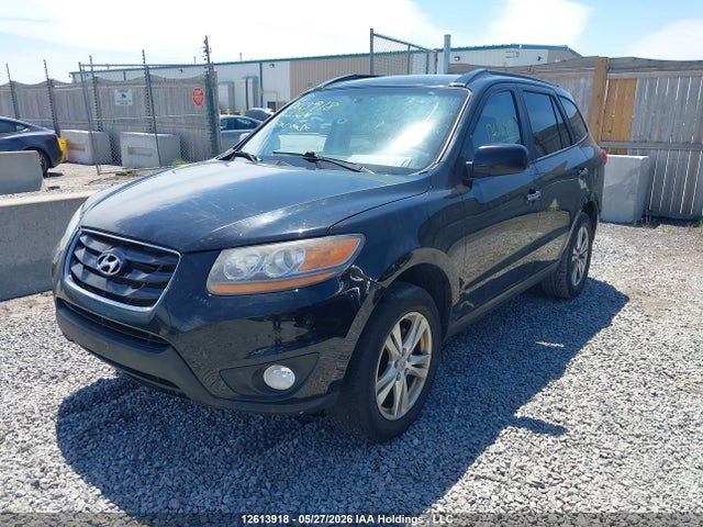 2010 Hyundai Santa Fe Limited 3.5 მანქანა იყიდება აუქციონზე, vin: 5NMSHDAG2AH361364, აუქციონის ნომერი: 12613918