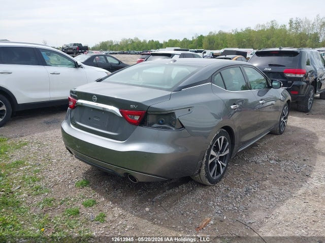 Продажа на аукционе авто 2017 Nissan Maxima Platinum/s/sl/sr/sv, vin: 1N4AA6AP9HC411977, номер лота: 12613945