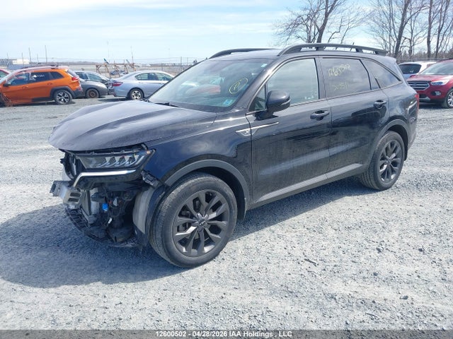 Продажа на аукционе авто 2023 Kia Sorento 2.5t X-line, vin: 5XYRGDLF6PG192460, номер лота: 12600502