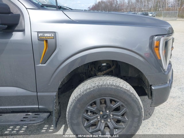 Ford F150 Supercrew 2023 1FTEW1E87PFC87031 Image 11