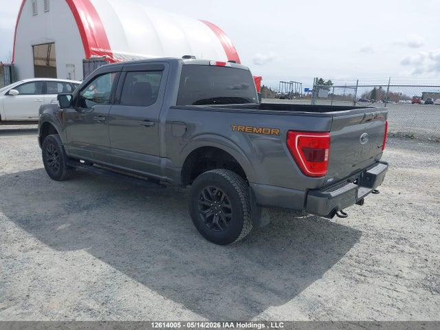 Ford F150 Supercrew 2023 1FTEW1E87PFC87031 Image 3