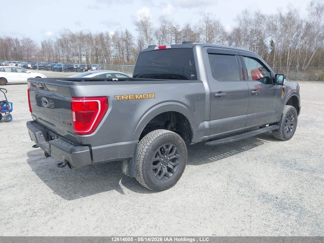 Ford F150 Supercrew 2023 1FTEW1E87PFC87031 Image 4