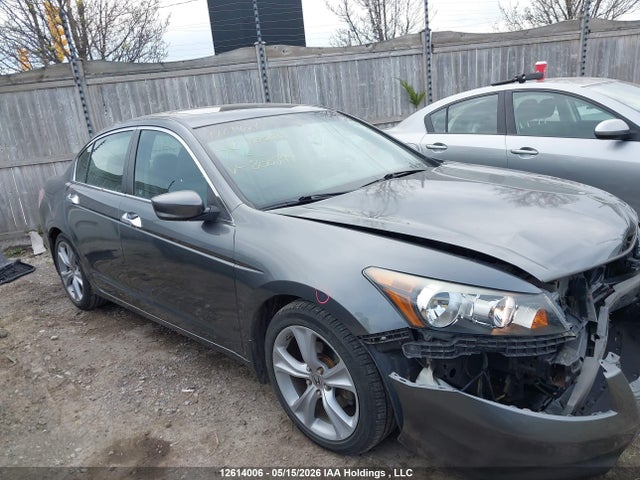 12614006 :رقم المزاد ، 1HGCP3F86BA800341 vin ، 2011 Honda Accord مزاد بيع