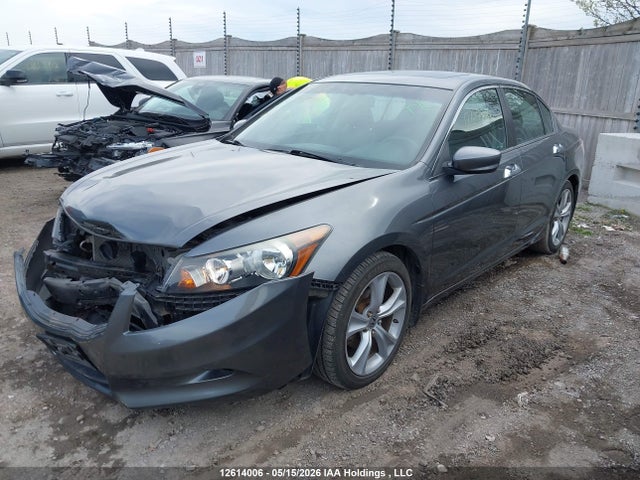12614006 :رقم المزاد ، 1HGCP3F86BA800341 vin ، 2011 Honda Accord مزاد بيع