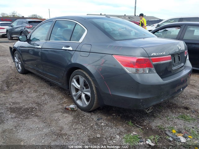 12614006 :رقم المزاد ، 1HGCP3F86BA800341 vin ، 2011 Honda Accord مزاد بيع