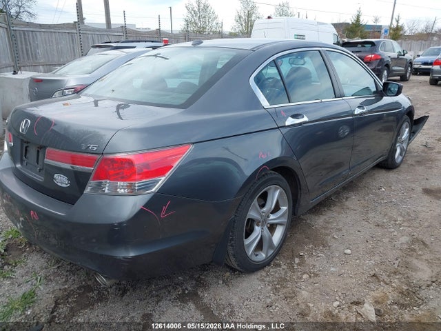 12614006 :رقم المزاد ، 1HGCP3F86BA800341 vin ، 2011 Honda Accord مزاد بيع