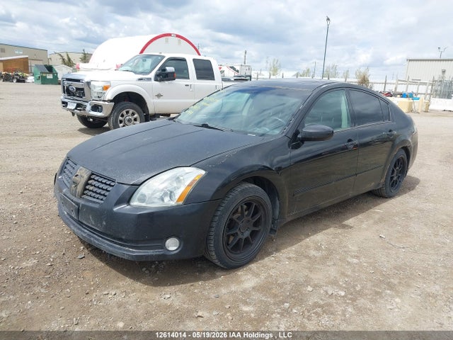 Продаж на аукціоні авто 2006 Nissan Maxima 3.5 Sl, vin: 1N4BA41E76C810133, номер лоту: 12614014