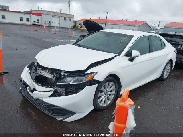 4T1B11HKXJU080222 Toyota CAMRY LE
