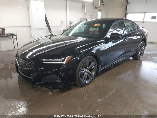 2021 Acura Tlx A-spec მანქანა იყიდება აუქციონზე, vin: 19UUB6F53MA801766, აუქციონის ნომერი: 12614057