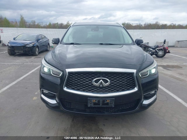 5N1DL0MM9KC517302 Infiniti Qx60 Luxe/pure