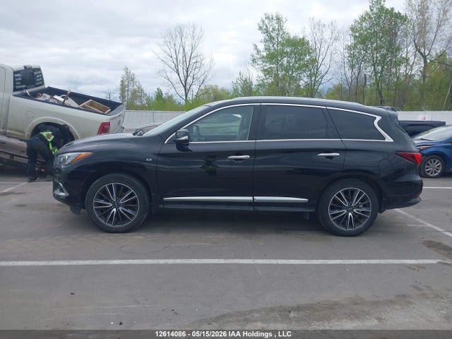 5N1DL0MM9KC517302 Infiniti Qx60 Luxe/pure
