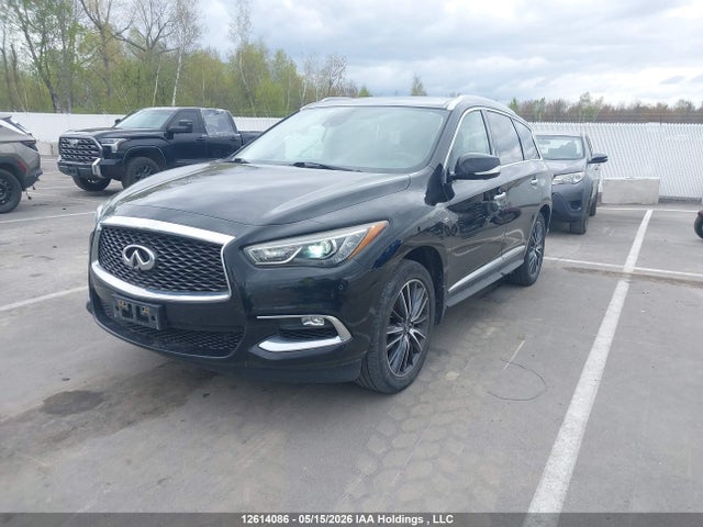 5N1DL0MM9KC517302 Infiniti Qx60 Luxe/pure