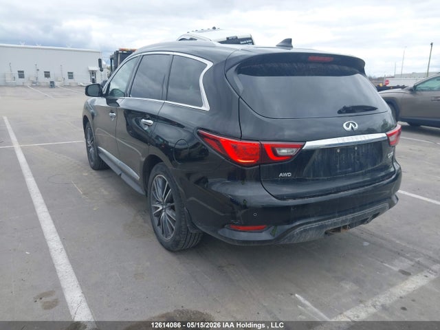 5N1DL0MM9KC517302 Infiniti Qx60 Luxe/pure