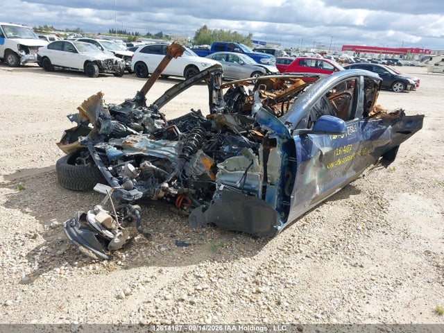 Auction sale of the 2023 Tesla Model 3 Long Range, vin: LRW3E1EBXPC923526, lot number: 12614187