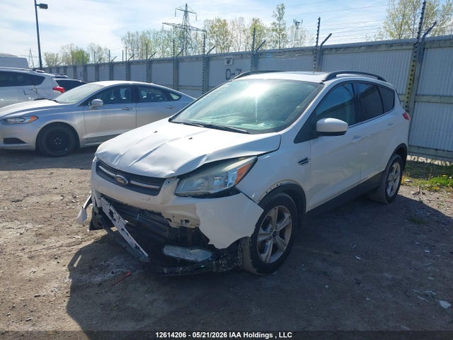 2014 Ford Escape მანქანა იყიდება აუქციონზე, vin: 1FMCU0GX1EUC40075, აუქციონის ნომერი: 12614206