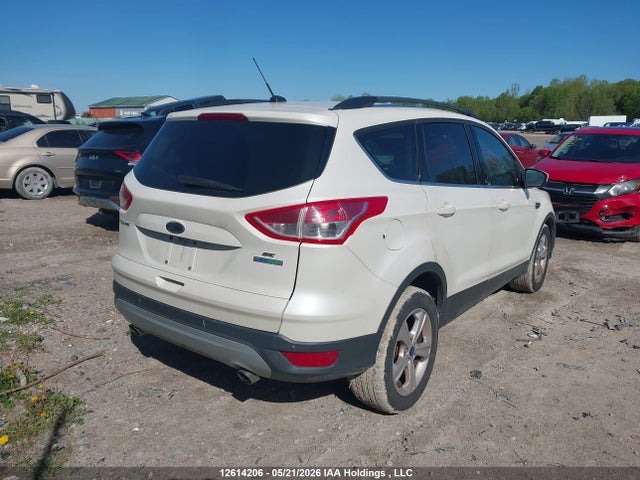 2014 Ford Escape მანქანა იყიდება აუქციონზე, vin: 1FMCU0GX1EUC40075, აუქციონის ნომერი: 12614206