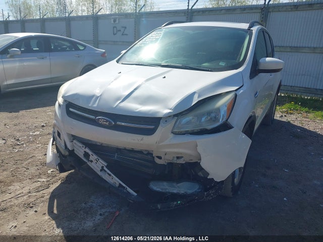 2014 Ford Escape მანქანა იყიდება აუქციონზე, vin: 1FMCU0GX1EUC40075, აუქციონის ნომერი: 12614206