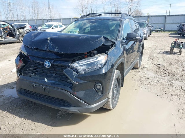 2T3RWRFV5RW230364 Toyota Rav4 Hybrid Xle