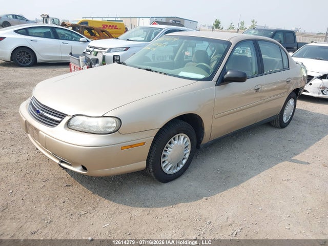 Продаж на аукціоні авто 2002 Chevrolet Malibu, vin: 1G1ND52J22M525403, номер лоту: 12614279