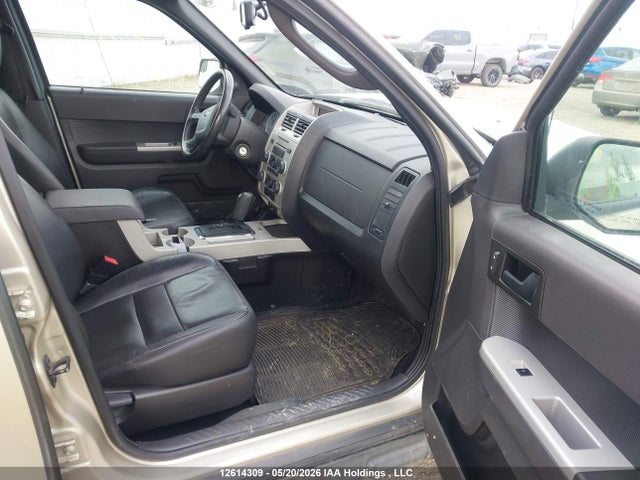 12614309 :رقم المزاد ، 1FMCU9DG9BKA10736 vin ، 2011 Ford Escape Xlt مزاد بيع
