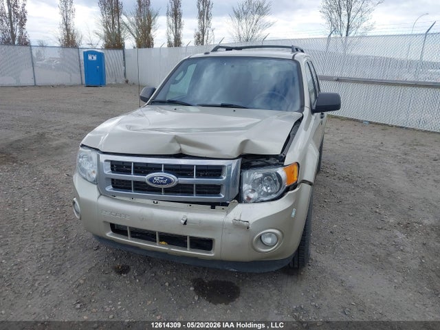 12614309 :رقم المزاد ، 1FMCU9DG9BKA10736 vin ، 2011 Ford Escape Xlt مزاد بيع