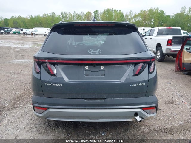 Продаж на аукціоні авто 2026 Hyundai Tucson Ultimate Hybrid Awd, vin: KM8JCDD13TU439465, номер лоту: 12614363