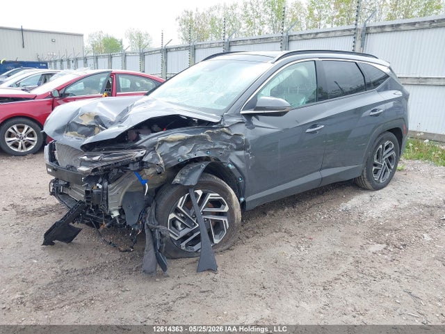 Продаж на аукціоні авто 2026 Hyundai Tucson Ultimate Hybrid Awd, vin: KM8JCDD13TU439465, номер лоту: 12614363