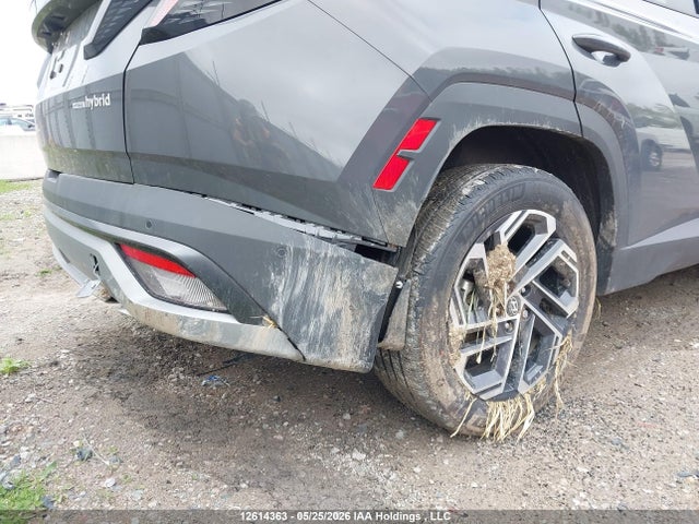 Продаж на аукціоні авто 2026 Hyundai Tucson Ultimate Hybrid Awd, vin: KM8JCDD13TU439465, номер лоту: 12614363