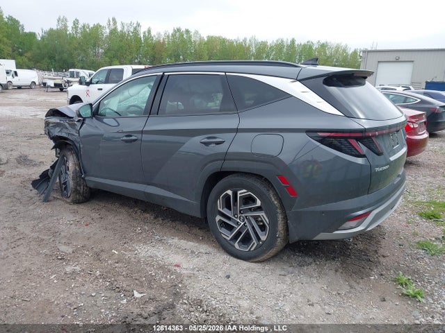 Продаж на аукціоні авто 2026 Hyundai Tucson Ultimate Hybrid Awd, vin: KM8JCDD13TU439465, номер лоту: 12614363