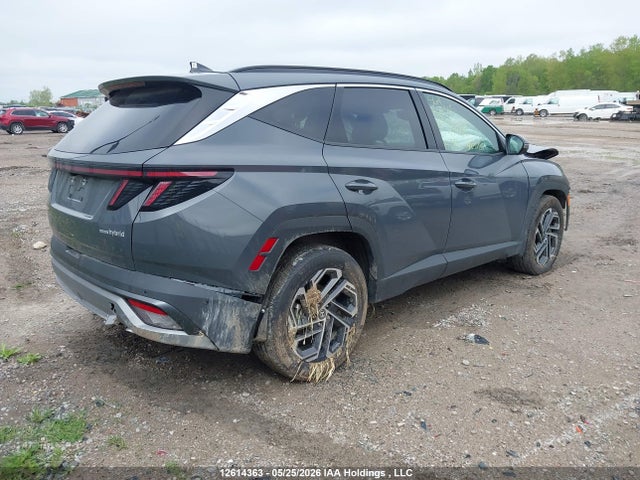 Продаж на аукціоні авто 2026 Hyundai Tucson Ultimate Hybrid Awd, vin: KM8JCDD13TU439465, номер лоту: 12614363