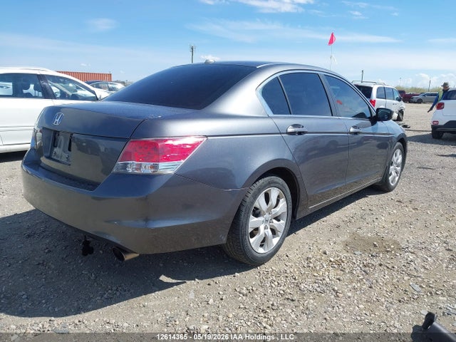 Aukcja sprzedaży 2010 Honda Accord Exl, vin: 1HGCP2F84AA805398, numer aukcji: 12614365