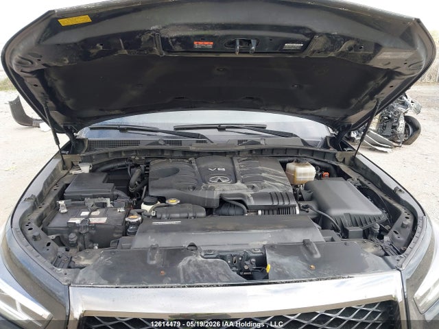 Продаж на аукціоні авто 2022 Infiniti Qx80 Luxe 7 Passenger/luxe 8 Passenger/proactive 7 Passenger/proactive 8 Passenger, vin: JN8AZ2AC4N9485166, номер лоту: 12614479