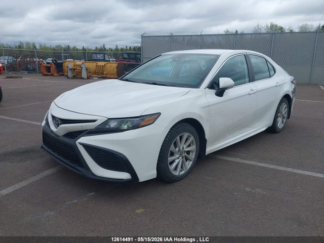 4T1G11AK1MU450199 Toyota CAMRY SE