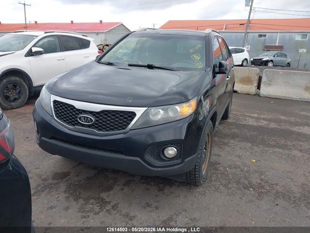 12614503 :رقم المزاد ، 5XYKTDA21DG330866 vin ، 2013 Kia Sorento Lx مزاد بيع