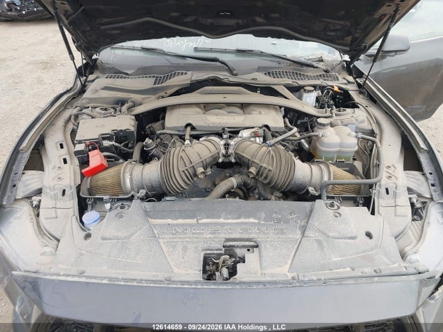 2024 Ford Mustang Gt მანქანა იყიდება აუქციონზე, vin: 1FA6P8CF9R5430989, აუქციონის ნომერი: 12614659