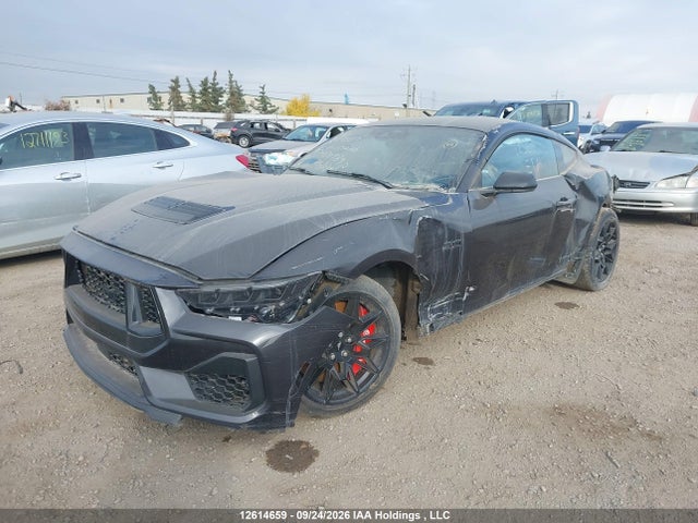 2024 Ford Mustang Gt მანქანა იყიდება აუქციონზე, vin: 1FA6P8CF9R5430989, აუქციონის ნომერი: 12614659