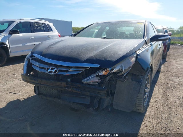 2013 Hyundai Sonata მანქანა იყიდება აუქციონზე, vin: 5NPEC4ABXDH523216, აუქციონის ნომერი: 12614673
