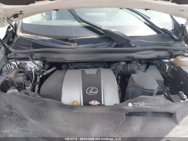 Продаж на аукціоні авто 2020 Lexus Rx 350l, vin: JTJJZKFA0L2022334, номер лоту: 12614712