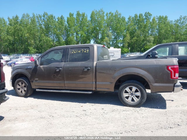 Продаж на аукціоні авто 2015 Ford F150 Supercrew, vin: 1FTEW1CG1FFC01172, номер лоту: 12614729