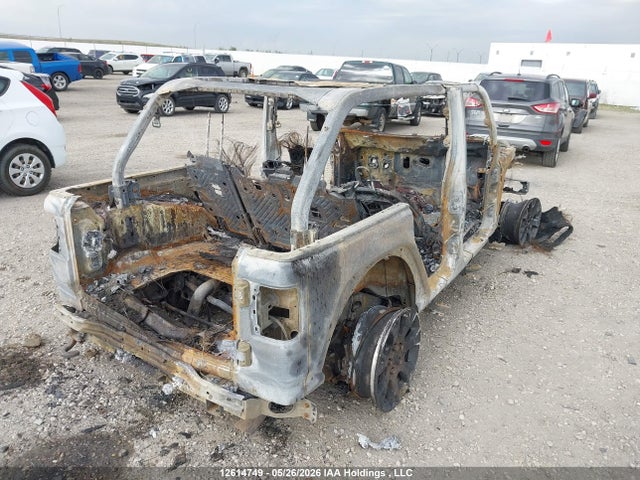 Auction sale of the 2024 Jeep Wrangler 4-door Sahara, vin: 1C4PJXEG7RW273781, lot number: 12614749