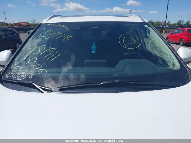 Продаж на аукціоні авто 2025 Nissan Rogue Sv/rock Creek, vin: JN8BT3BB5SW159911, номер лоту: 12614795