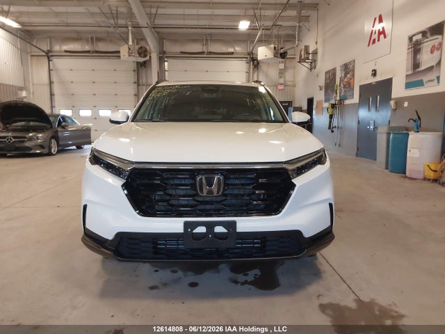 Aukcja sprzedaży 2023 Honda Cr-v, vin: 2HKRS4H59PH121616, numer aukcji: 12614808