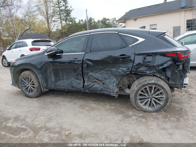 Lexus NX 350 2025 2T2GGCEZ8SC084706 Image 15