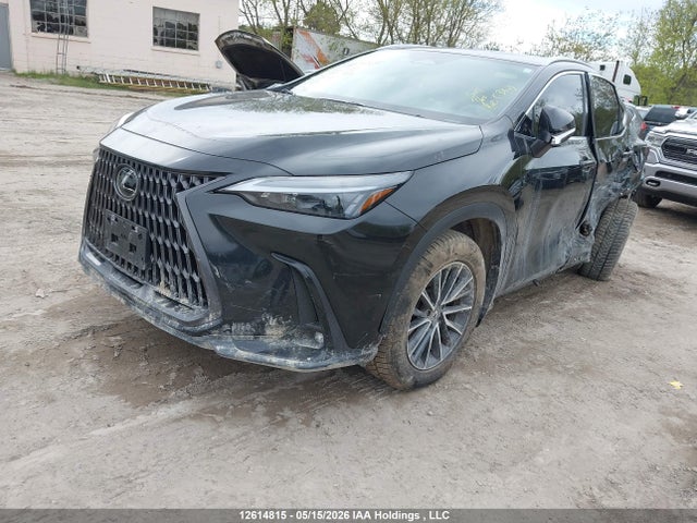 Lexus NX 350 2025 2T2GGCEZ8SC084706 Image 2