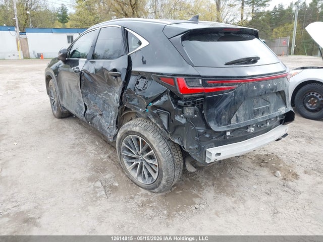 Lexus NX 350 2025 2T2GGCEZ8SC084706 Image 3