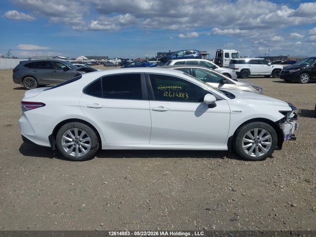 4T1B31HK1JU003703 Toyota Camry Hybrid Le