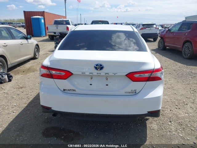 4T1B31HK1JU003703 Toyota Camry Hybrid Le